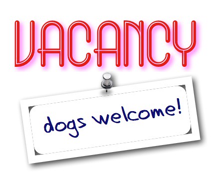 Vacancy - dogs welcome!