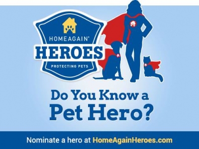 home again banner home again banner