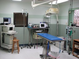 THE SURGERY SUITE