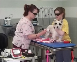 bj and heather doing laser treatment