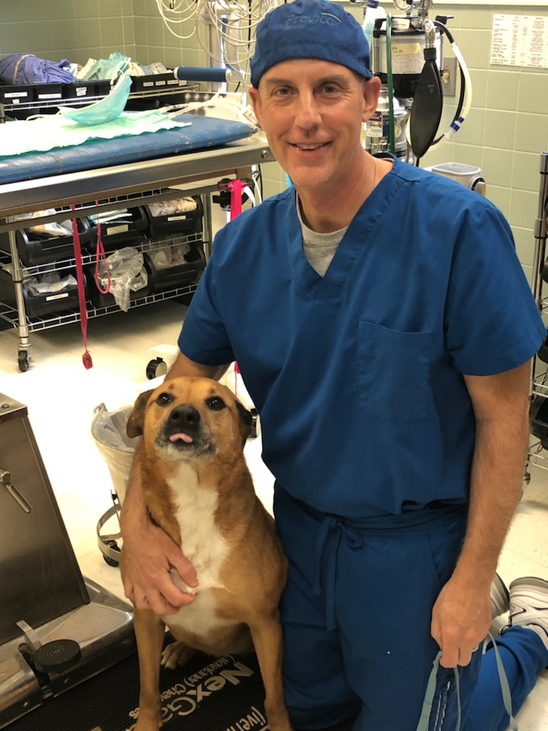 Dr. Jeff Hustey, D.V.M, Associate Veterinarian