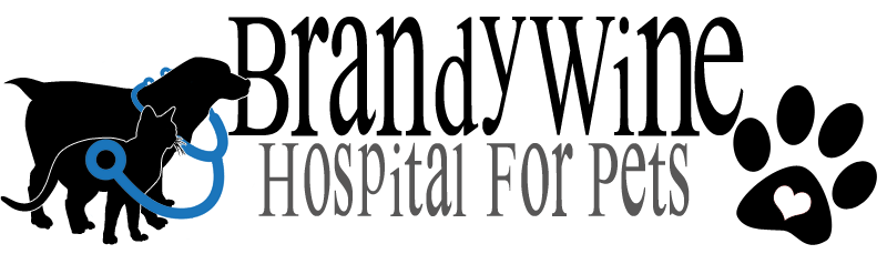 Brandywine Hospital For Pets Logo